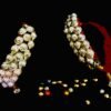 IMG-20250625-WA0007